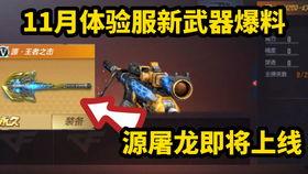 源梦体验服最新爆料,神秘新角色与颠覆性玩法抢先看