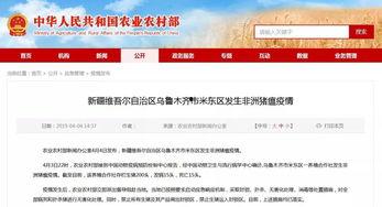 新疆最新新闻爆料网站,聚焦热点事件，揭秘幕后真相